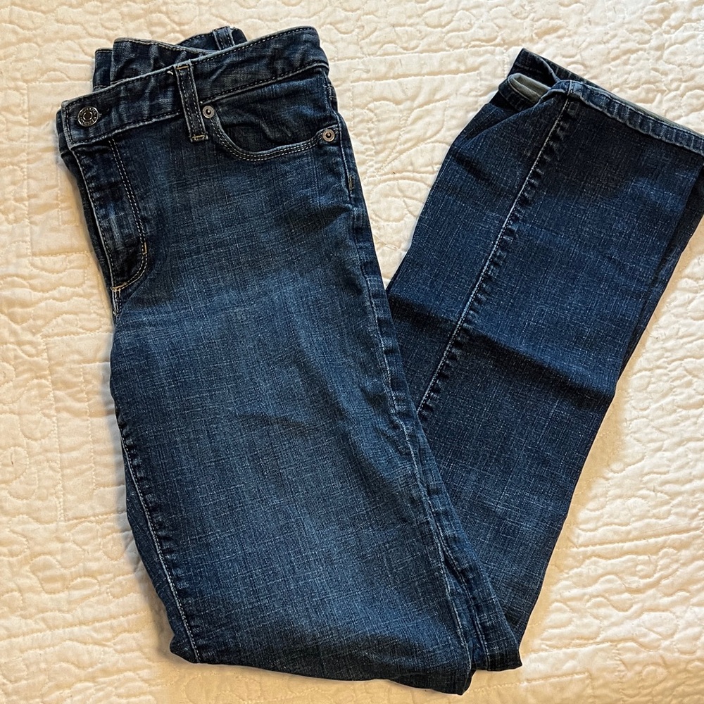 Banana Republic Dark Blue Denim Jeans